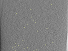 key visualization for 25oct20a_Position_102