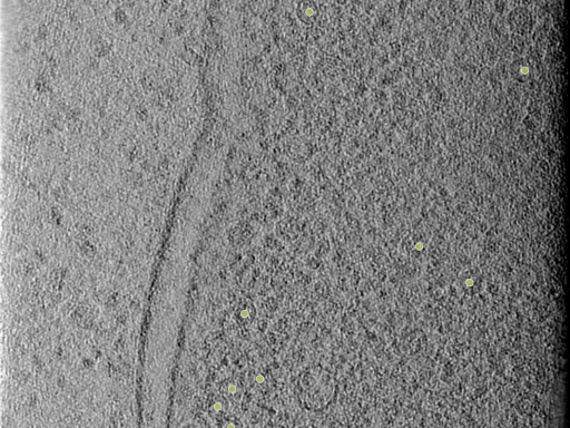 key visualization for 25oct20a_Position_106_2