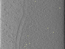 key visualization for 25oct20a_Position_106_2