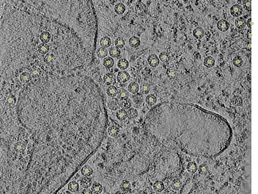 key visualization for 25oct20a_Position_107