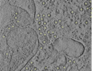 key visualization for 25oct20a_Position_107