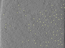 key visualization for 25oct20a_Position_108