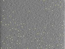 key visualization for 25oct20a_Position_109