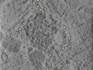 key visualization for 25oct20a_Position_10_2