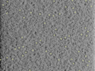 key visualization for PP7 virus-like particles in E. coli at 3.0 Å (plunge-frozen)