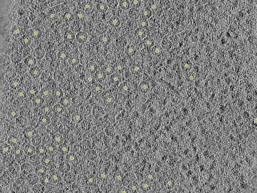 key visualization for 26feb20d_Position_1