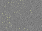 key visualization for 26feb20d_Position_1