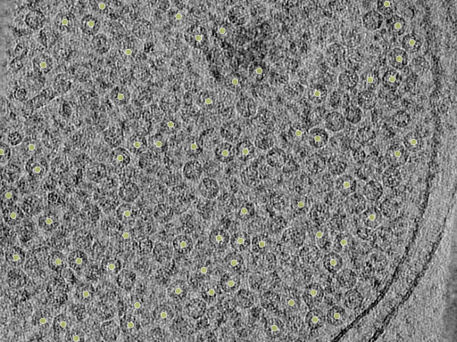 key visualization for 26feb20d_Position_10