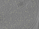 key visualization for 26feb20d_Position_10