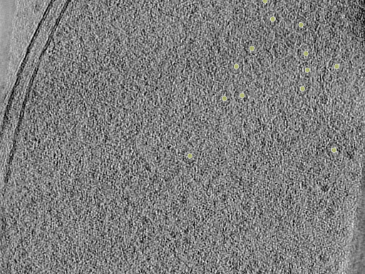 key visualization for 26feb20d_Position_10_10