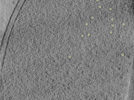 key visualization for 26feb20d_Position_10_10