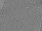 key visualization for 26feb20d_Position_10_10