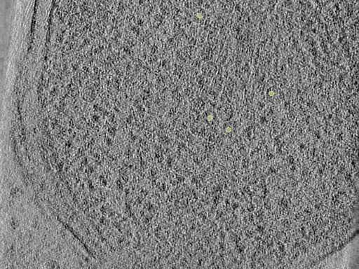 key visualization for 26feb20d_Position_10_11