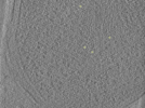 key visualization for 26feb20d_Position_10_11