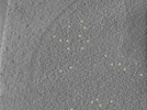 key visualization for 26feb20d_Position_10_12