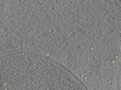 key visualization for 26feb20d_Position_10_15