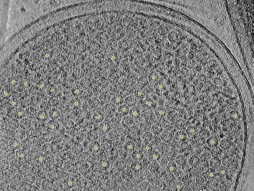 key visualization for 26feb20d_Position_10_2