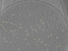 key visualization for 26feb20d_Position_10_2