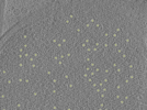 key visualization for 26feb20d_Position_10_3