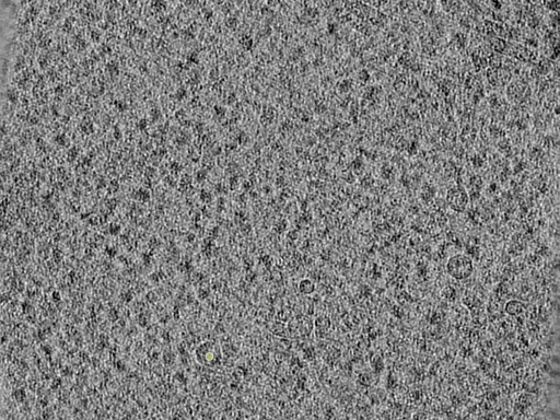 key visualization for 26feb20d_Position_10_4