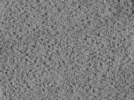 key visualization for 26feb20d_Position_10_4