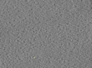 key visualization for 26feb20d_Position_10_4