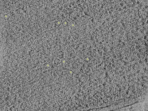 key visualization for 26feb20d_Position_10_5