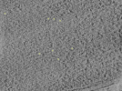key visualization for 26feb20d_Position_10_5