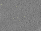 key visualization for 26feb20d_Position_10_5