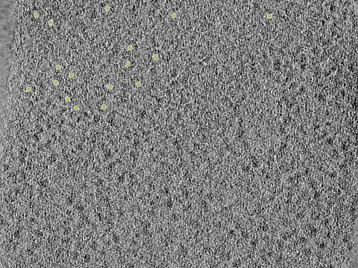 key visualization for 26feb20d_Position_10_7