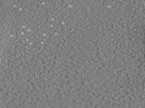 key visualization for 26feb20d_Position_10_7