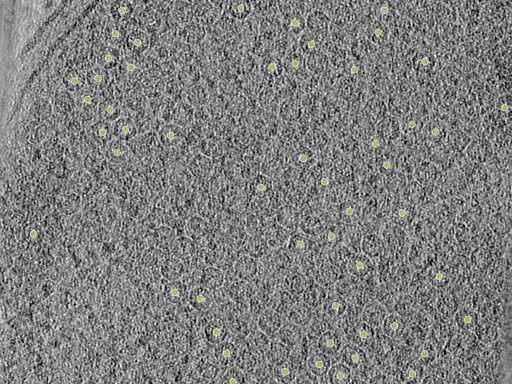 key visualization for 26feb20d_Position_10_8