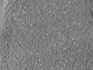 key visualization for 26feb20d_Position_10_8