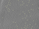 key visualization for 26feb20d_Position_10_8