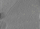 key visualization for 26feb20d_Position_12
