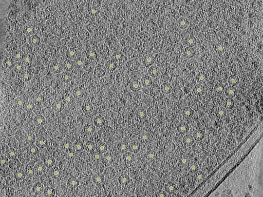 key visualization for 26feb20d_Position_12_2