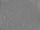 key visualization for 26feb20d_Position_1_2