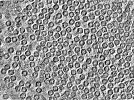 key visualization for Crossed laser phase plate (xLPP) demonstration tomogram of single-layer apoferritin