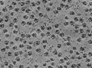 key visualization for 9x9_ts_11_sort