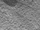 key visualization for MB13_G1_33kx_ts_04