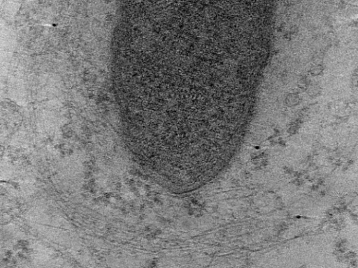 key visualization for MB13_G1_33kx_ts_14