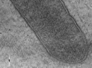 key visualization for MB13_G2_33kx_ts_02