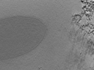 key visualization for 22Oct12_OmpB_01