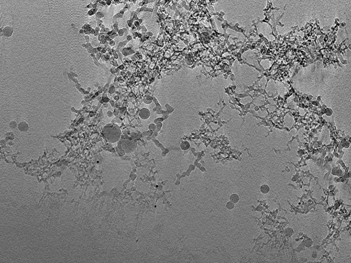 key visualization for 22Oct12_OmpB_04
