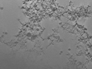 key visualization for 22Oct12_OmpB_04