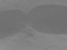 key visualization for 22Oct12_OmpB_05