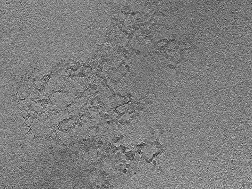 key visualization for 22Oct12_OmpB_06