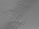 key visualization for 22Oct12_OmpB_06