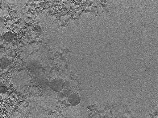 key visualization for 22Oct12_OmpB_10