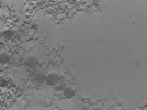 key visualization for 22Oct12_OmpB_10